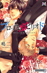 Blossom Period
