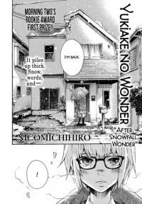 After Snowfall, Wonder