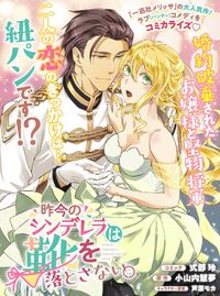 Sakkon no Cinderella wa Kutsu wo Otosanai.