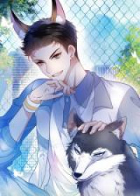 Honor Student's Little Wildcat Is Too Titillating