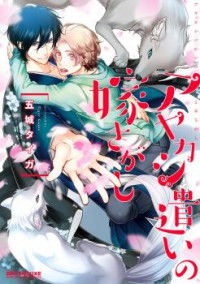 Ayakashi Tsukai no Yome Sagashi