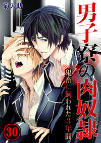 Danshiryou no Omocha