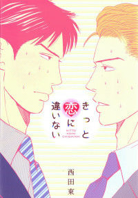 Kitto Koi ni Chigainai