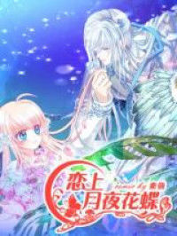 Legend of Moon Night Butterflies