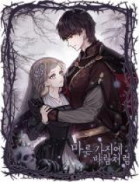 Like the Wind on a Dry Branch