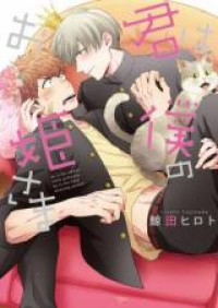 Kimi wa Boku no Ohimesama