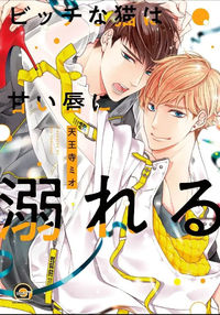 Bitch na Neko wa Amai Kuchibiru ni Oboreru